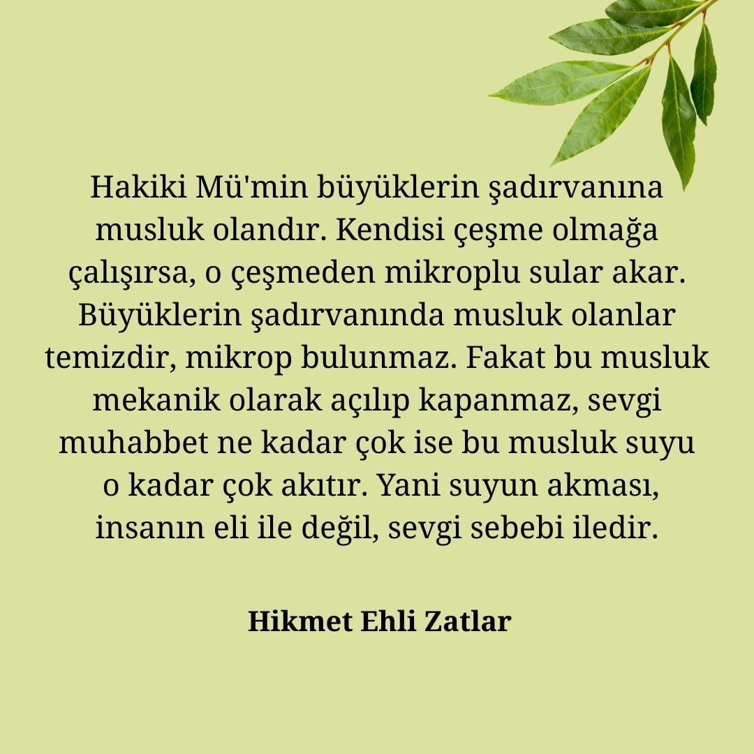 Hikmet Ehli Zatlar (84)